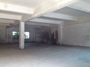 东莞市农村集体资产管理网视角下水围埔一厂厂房投资管理策略探析